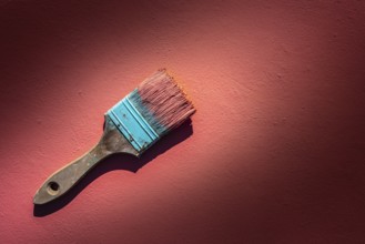 Coral color grunge brush with paint in monochromatic coral background wall