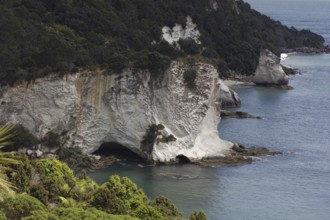 Coromandel Peninsula, New Zealand, Oceania