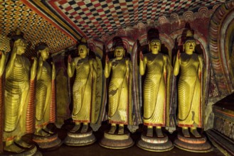 The golden temple of Dambulla is world heritage site and has a total of a total of 153 Buddha