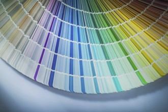 Colour palette on a white background
