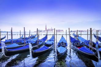 beautiful morning in venice at the san marco square