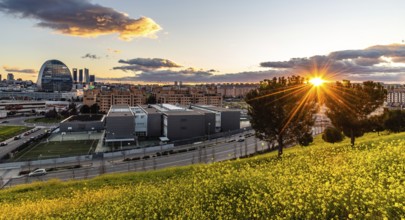 Madrid, Spain, March 7, 2020: Panoramic view of the skyline of Madrid from hill covered with yellow