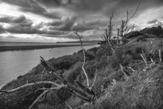 A black and white image of the Mad River in Northern California