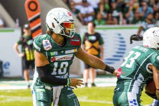 German Football League, Game: Schwäbisch Hall Unicorns, Ravensburg Razorbacks in the Optima