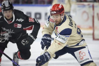 LanxessArena, Cologne, North Rhine-Westphalia, Tyson Spink (Schwenninger Wild Wings, #96), PENNY