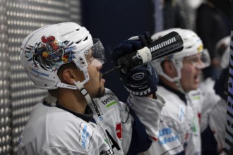 KA2, Cologne, North Rhine-Westphalia, Colin Ugbekile (Iserlohn Roosters, #79), PENNY DEL, Test