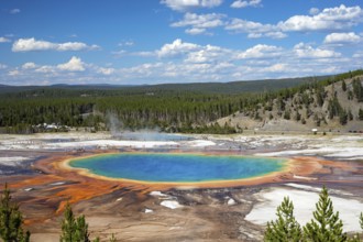 Geyser, Grand Prismatic Spring, Yellowstone NP