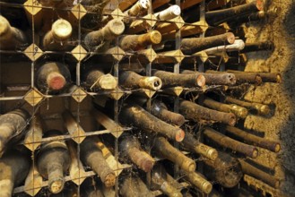 Old wine bottles