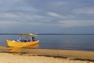 Am 24. Oktober des Jahres 2011 wurde die Brücke Manaus – Iranduba eingeweiht. Mitten im