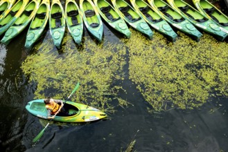 Sport - leisure in the city. Kayak Club on the Oder, Wroclaw, Voivodeship, Lower Silesia, Poland,
