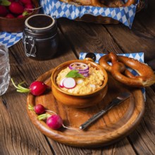 Rustic Bavarian Obazda with radishes and onions