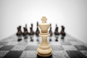 The expressive photo of the chess king standing in front of the set of pieces of a different colour