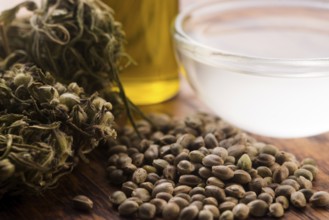 Cannabis extract with leaves