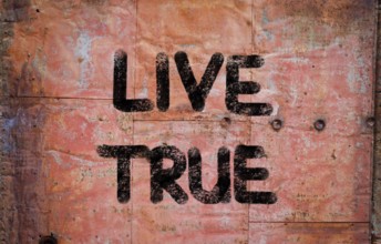 Live True Concept