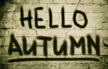 Hello Autumn Concept