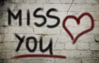 Miss You Concept