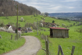View of the hamlet of Wagrain, Michelfeld, spring, Hohenlohe, hiking, Beaver Valley, Beavers,