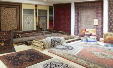 Arabic carpet shop exhibition colorful carpets exposition room