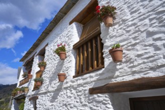 Alpujarras street in Granada at Pampaneira village of Andalusia Spain