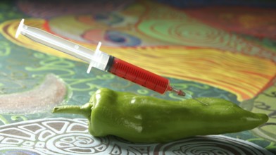 Bio genetics research of food, green pepper and syringe