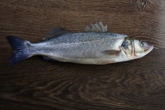 Seabass fresh fish on a dark wooden background