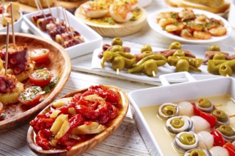 Tapas mix and pinchos food from Spain recipes also pintxos on a white wood board