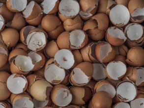 Empty egg shells stacked up