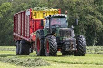 Picking up dried grass for silage with a green tractor and red loader wagon