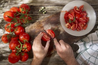 Cut and prepare preserves for the winter with smooth round tomato