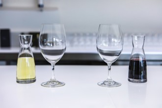 Two empty wine glasses and a pair of small decanters filled with white and red wines, taste