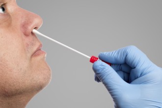 DNA test tubes and cotton swabs, wipe test