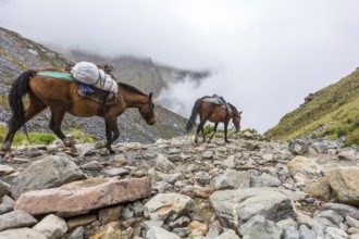 Salkantay Trekking in Peru, South America