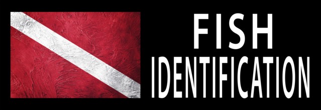 Fish Identification, Diver Down Flag, Scuba flag, Scuba Diving