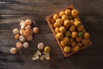 Presentation of the result of the collection of the fruit of the spindle
