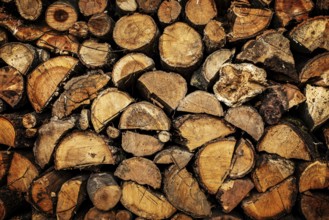 Stacked Pile of dry Firewood Logs Background