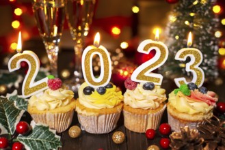Food tray with cupcakes new year candles and wineglasses