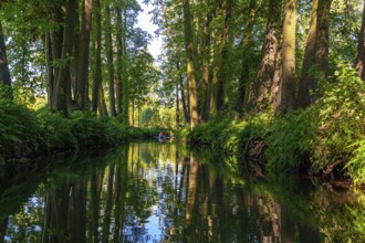 Spreewald