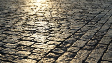 Paving stone close up and sunlight at dawn