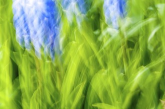 Abstract background in fresh green and blue colours. Abstract Green and Blue Background