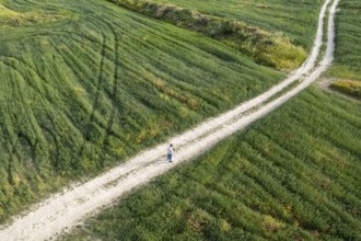 Drone aerial of unrecognized man standing on a rural road in the green field outdoor. One person