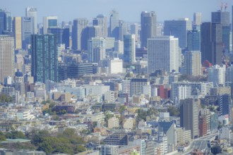 Tokyo skyline seen from the Ebisu Garden Place observatory. Shooting Location: Tokyo metropolitan