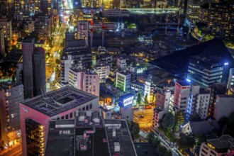 Tokyo night view as seen from Tokyo Tower. Shooting Location: Tokyo metropolitan area