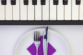 Symphony of taste. White plate and piano keys on the white wooden table.Top view. Flat Lay Image