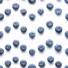 Beautiful trendy seamless pattern blueberries. Blueberry pattern isolated on white background.