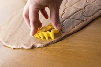 Preparing easter gingerbread cookies. Steps of making pastry