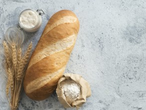 British White Bloomer or European sourdough Baton loaf bread on gray cement background. Fresh loaf