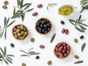 Set of green olives, black olives and red kalmata olives and extra virgin olive oil on white