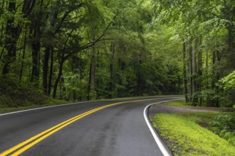 Road trip and traversing along the beautiful protected area of the park