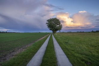 Rainclouds and a rural road near Seehof, Mecklenburg-Western Pomerania, Germany, Europe