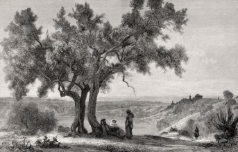 Banks of the Lake Nemi, Metropolitan City of Rome, Lazio, Italy, 19th Century, Europe